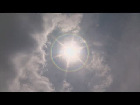 5 things you need to know to stay safe in the heat