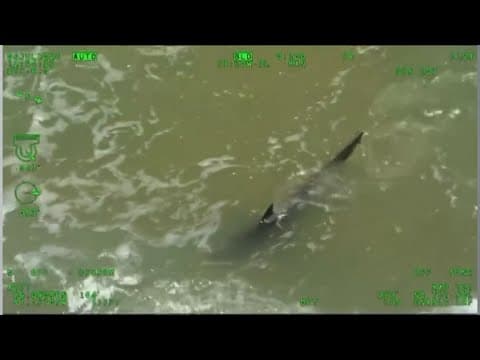 Shark attack on South Padre Island leaves several people hurt on Fourth of July