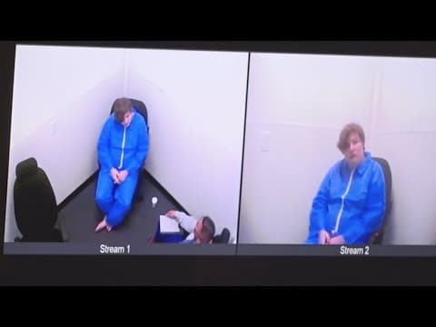 Twin tragedy: Brother on trial recalls 'realistic nightmare' of sister's fatal stabbing