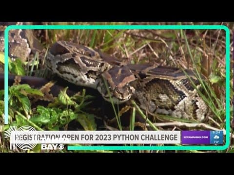 Countdown is on for 2023 Florida Python Challenge