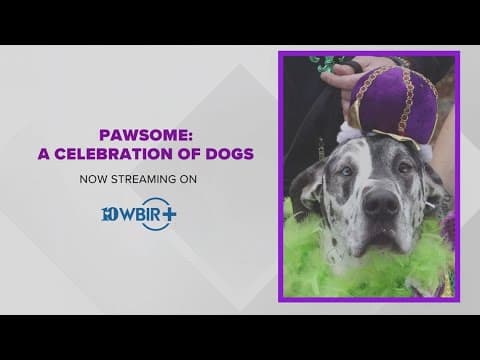 Pawsome: A Celebration of Dogs