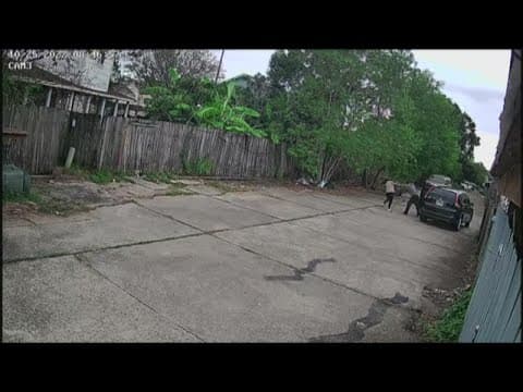 Woman punched and pulled from vehicle in violent Algiers carjacking