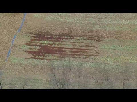 Tulipalooza in Waxahachie canceled due to hail storms, organizers say