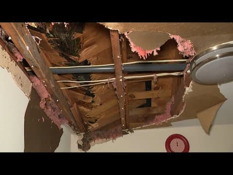 Hurricane season: Be aware of trees around your house