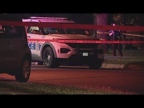 Local neighbor reacts after deadly hit-and-run crash involving 4-year-old