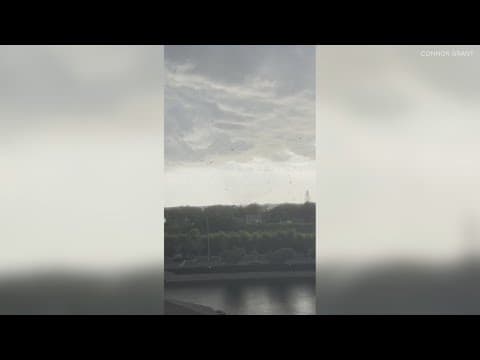 Debris starts to fly as tornado forms over Pinellas County