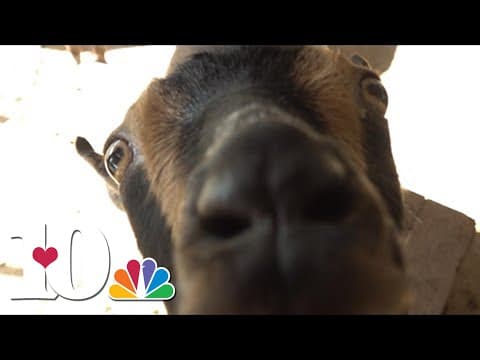 2024 Winter Weather Outlook: A look at how farmers prepare for winter