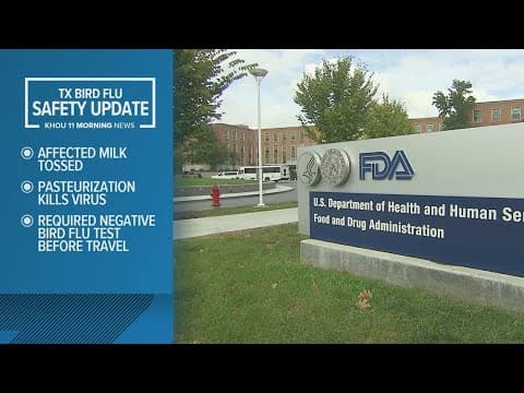 FDA: 1 in 5 samples of grocery store milk tested positive for bird flu