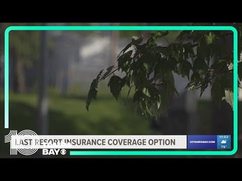 If Citizens Insurance drops you, what are your options?