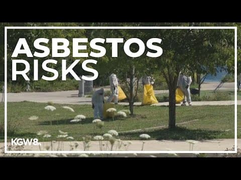 Asbestos found in debris from Portland Kmart fire