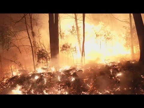 New Jersey wildfire spreads over 200 acres