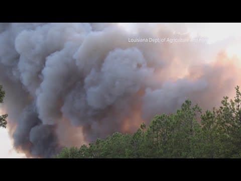 New study says everyone's health at risk from Louisiana wildfires