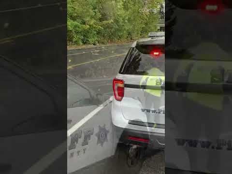 Bicyclist killed in hit-and-run near Parkland #shorts