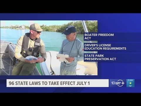 96 new Florida laws are set to go in effect July 1. Here's a look at a few