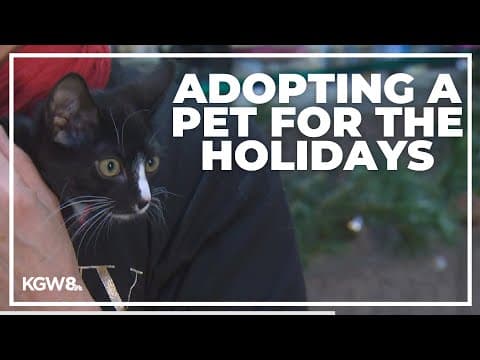 Adopting a pet from the Oregon Humane Society around the holidays