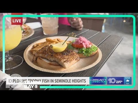 Exploring Trophy Fish's fresh seafood menu: Community Connection (Seminole Heights)