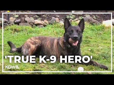 Retired police dog competing for $10K award for Oregon nonprofits