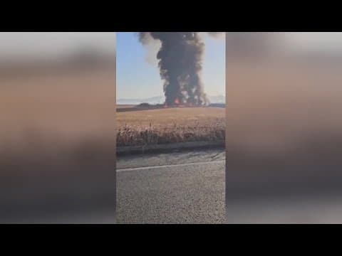 Plane burst into flames after skidding off runway at an airport in South Korea, killing at least 85