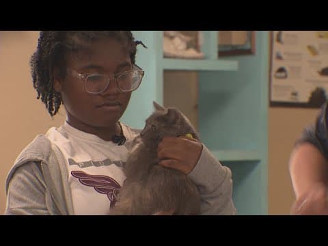 In a room full of cats, one girl's heart shines: Meet Wednesday's Child, 16-year-old Jasmine
