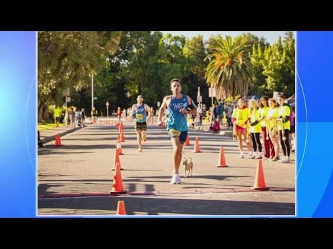 Jellybean, a tiny rescue dog, runs hundreds of miles with her owner every year