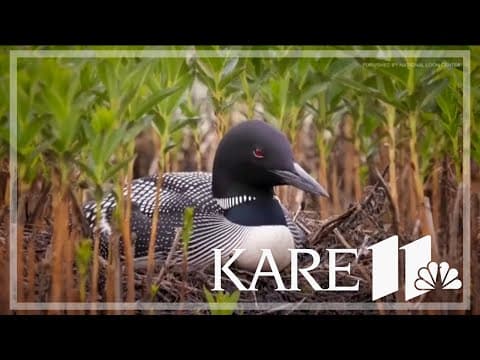 Before the fishing opener, environmental advocates ask that you check your tackle box