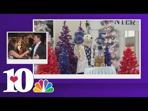East TN Children's Hospital CEO talks about Fantasy of Trees