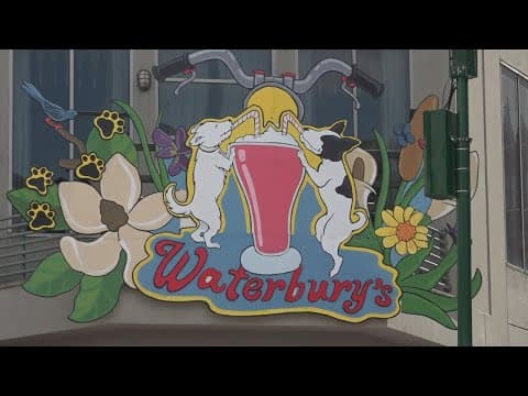 Canal Street signs get artistic makeover to draw families back downtown