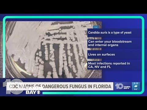 CDC warns of dangerous fungus in Florida