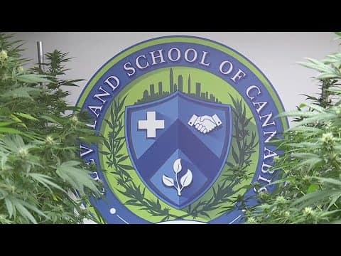 Cannabis school enrollment spikes in Ohio after legalization