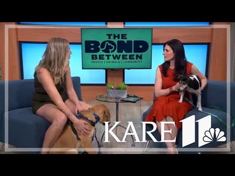 Help 'The Bond Between' find good homes for great pets