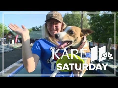 Check out these Stunt Dogs at the State Fair!