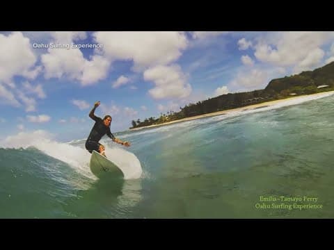 'Pirates of the Caribbean' actor dies in shark attack while surfing