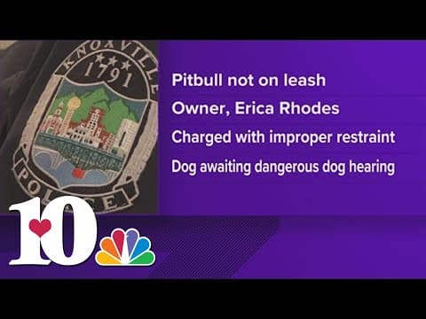 Dog to be euthanized at Young-Williams after attacking teen at school bus stop