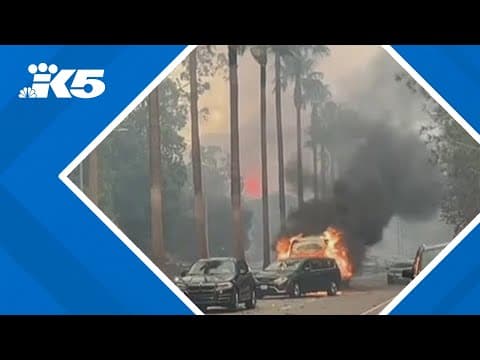 Pacific Palisades wildfire: What's causing extreme winds fueling the flames