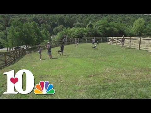 New dog park opens at New Harvest Park