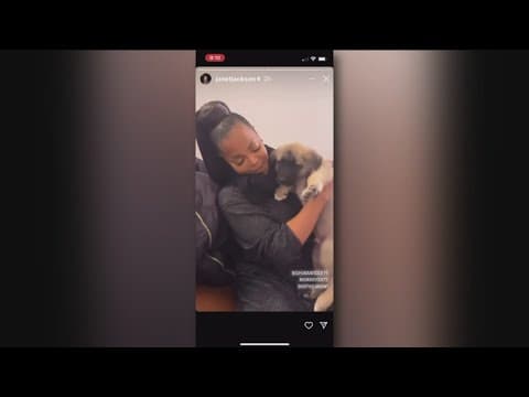 San Diego Humane Society puppies get backstage passes at Janet Jackson concert