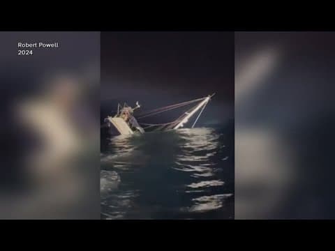 Pod of Orcas rammed a tourist sailboat in Portugal, sinking it