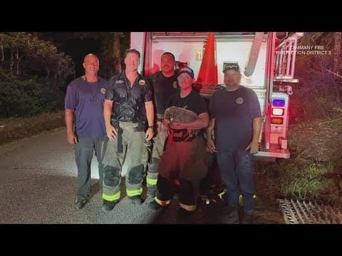 Rescue in the drain: Firefighters crawl through culverts to save deaf, blind dog in Lacombe