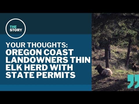 The Gearhart elk and Oregon's sanctioned hunting | Your Thoughts