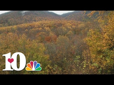 Great Smoky Mountains asks for volunteers to track seasonal tree changes