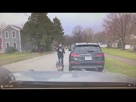 Turkeys interrupt officers on traffic stop in Ohio