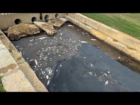 Dozens of fish killed at local lake in Bedford