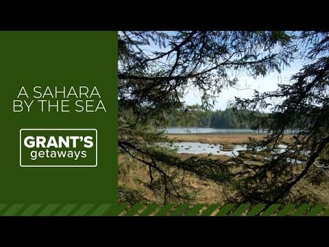 From towering dunes to wild estuaries, the southern Oregon coast has worlds to offer visitors