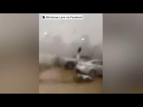 Video captures the intense damage from the likely tornado near Tylertown, Mississippi