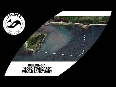 Building North America's first true whale refuge