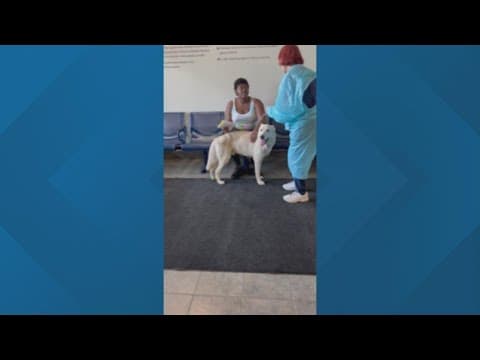 Dog reported stolen in 2019 reunited with owner 3 years later in Franklin County