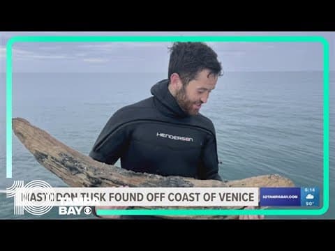'Once in a lifetime': Amateur fossil hunter finds 4-foot mastodon tusk near Venice coast