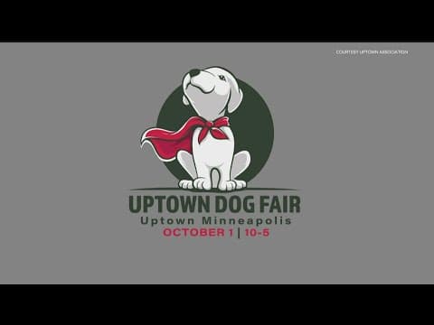 All paws welcome at Uptown Dog Fair