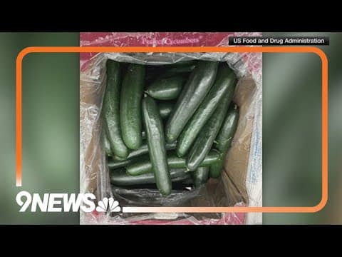 FDA expands cucumber recall in US and Canada