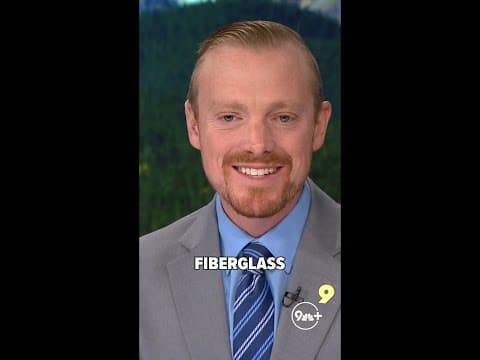 Stolen dinosaur returned to gas station